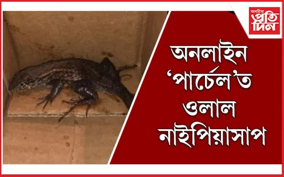 অৰ্ডাৰ দিছিল এয়াৰ ফ্ৰায়াৰ, আহিল নাইপিয়া 